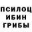 Галлюциногенные грибы мухоморы Emma Friesen