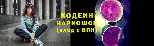 крисы Майский
