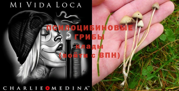 крисы Майский