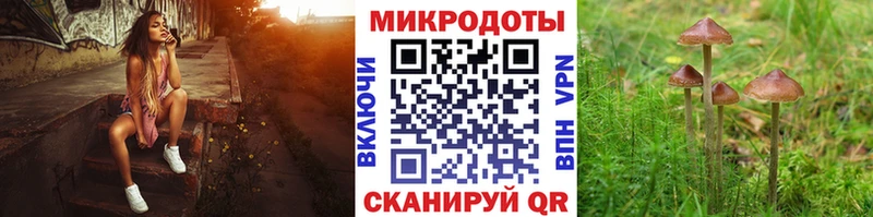 Галлюциногенные грибы GOLDEN TEACHER  omg ONION  Набережные Челны 