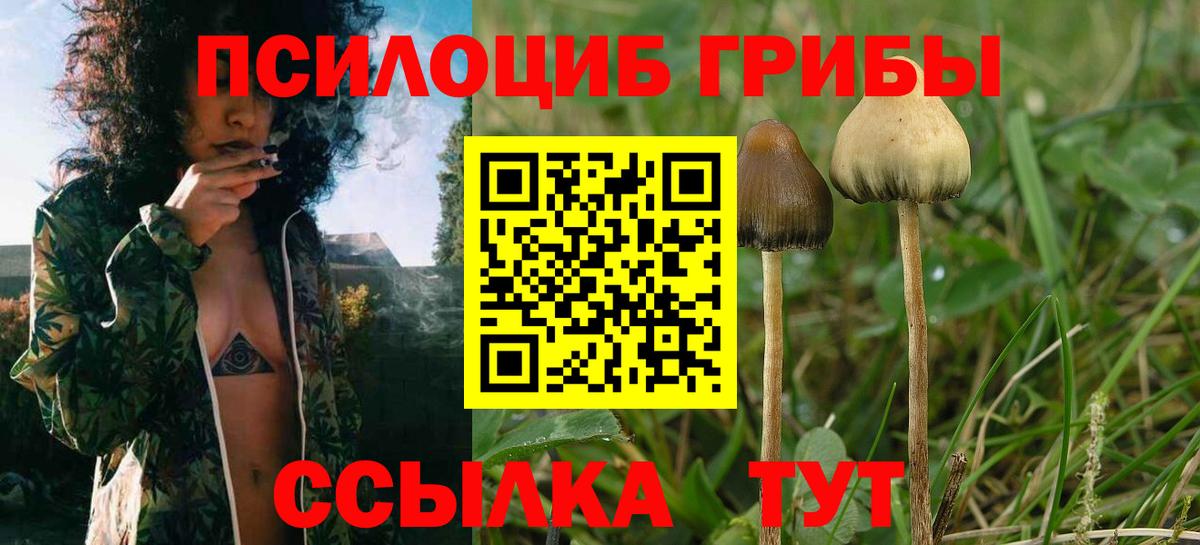 Псилоцибиновые грибы мухоморы  Вход с VPN  Набережные Челны 